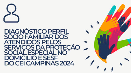 Perfil Sociofamiliar dos usuários dos Serviços da Proteção Social Especial do CEI Campinas